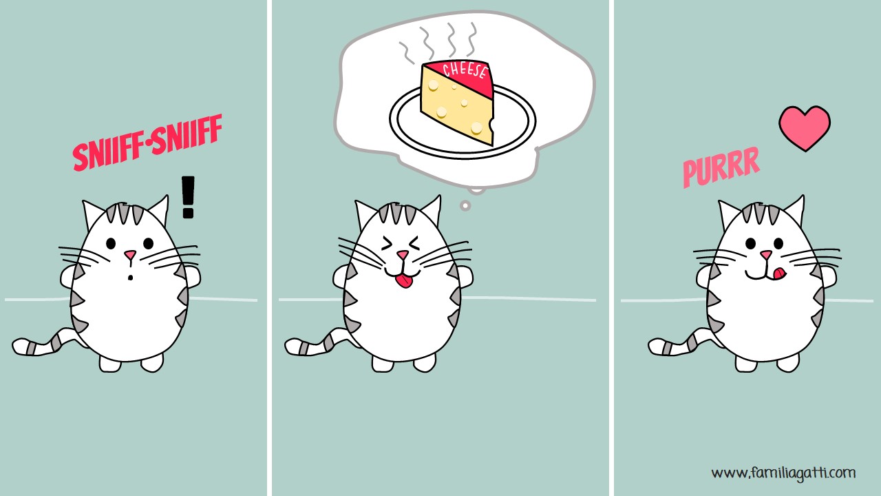Cat Comic - Cheese Fan